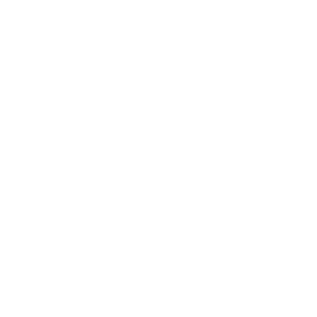 Codes & Consequences
